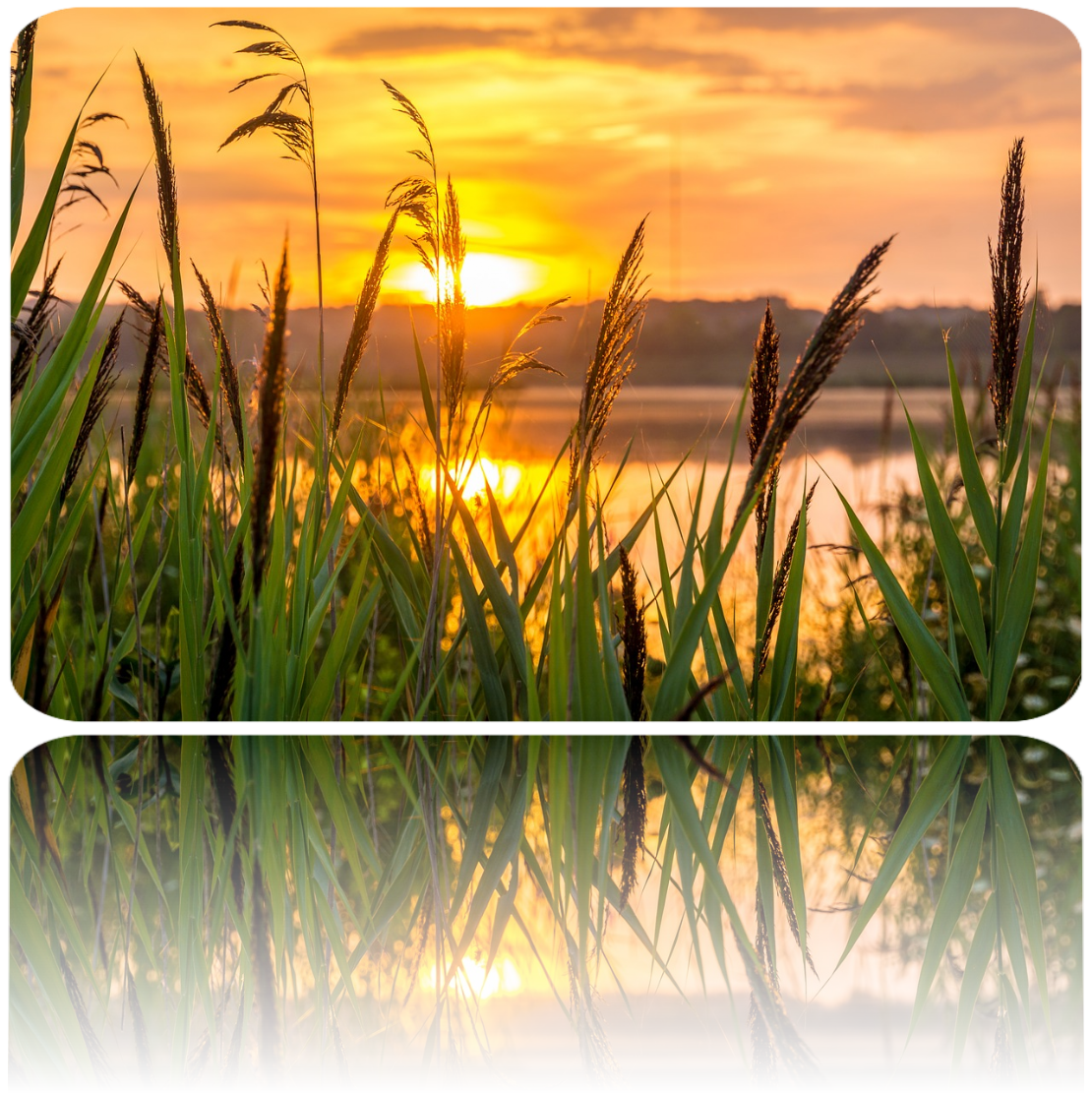 Meditation in der Natur